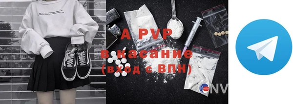стаф Баксан