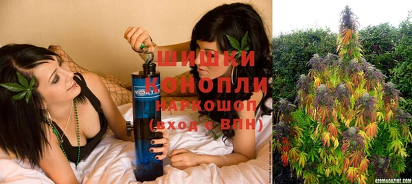 стаф Баксан