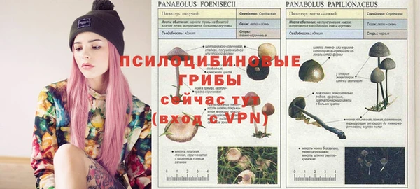 СК Балабаново