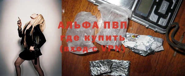 стаф Баксан