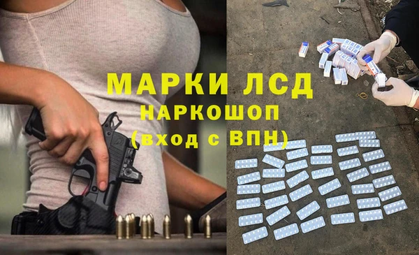 стаф Баксан